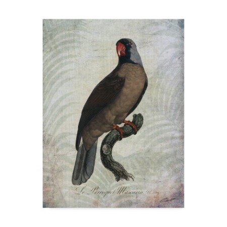 John Butler 'Parrot Jungle I' Canvas Art,35x47